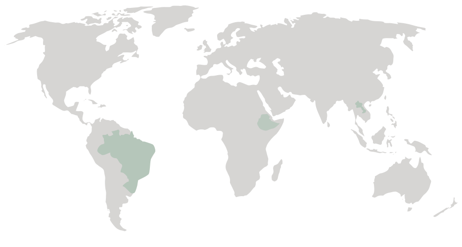 世界地圖 - 巴西，衣索比亞，寮國